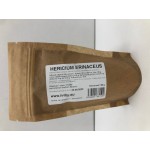 Hericium erinaceus, Koralovec ježovitý (Hericium erinaceus) prášok 90g